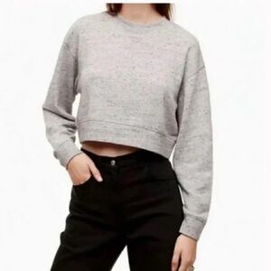 Aritzia Wilfred Free Grey Heathered Crewneck Cropped Sweatshirt